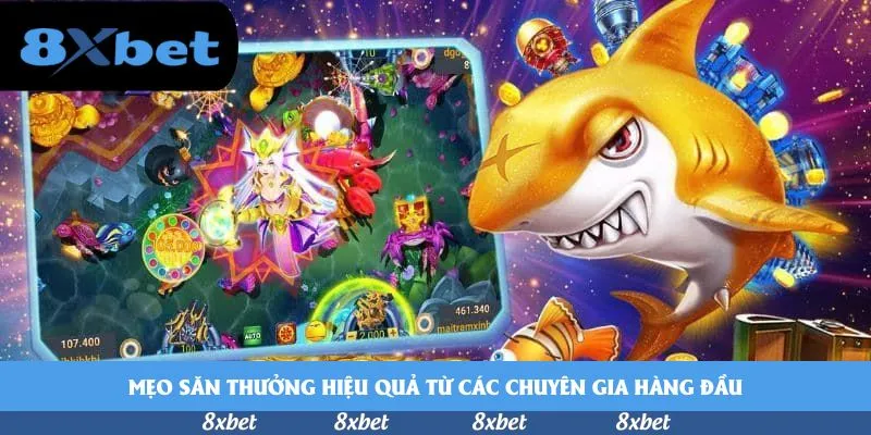 8XBET - haywin thưởng chào mừng 8XBET - haywin thưởng chào mừng