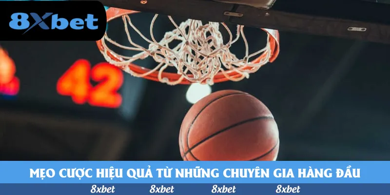 Xu hướng tải New88 APK: Điều gì đang thay đổi trong lòng người hâm mộ bóng đá?