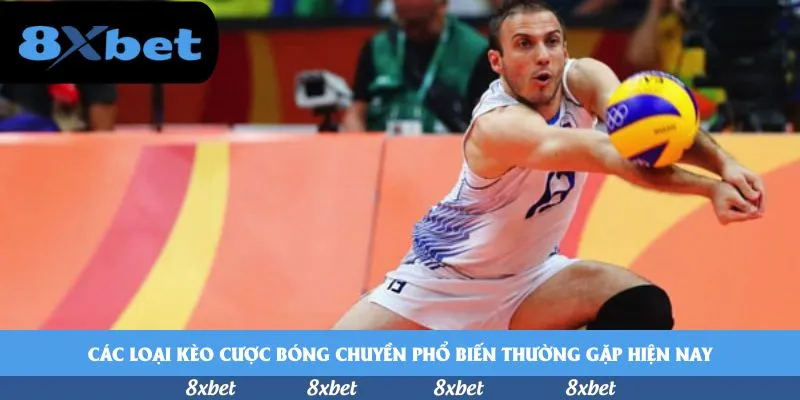 Hướng dẫn 8xbet review