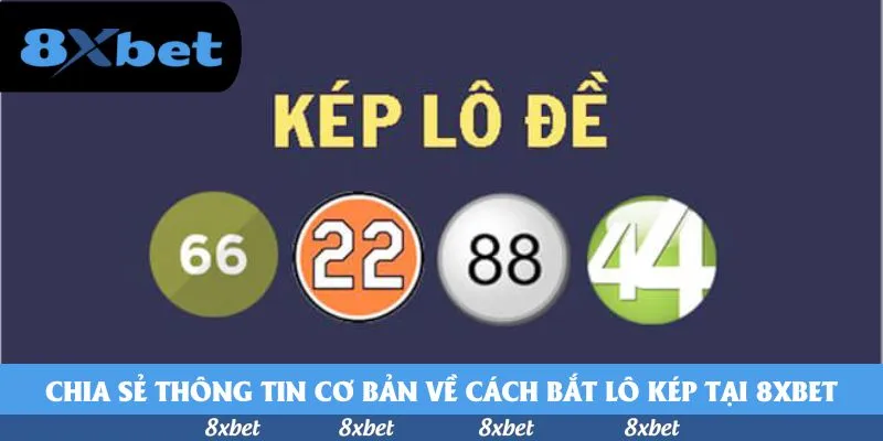 x8bet com tại 8XBET