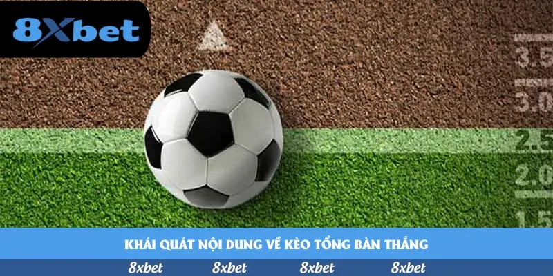 Hướng dẫn khuyến mãi 8xbet