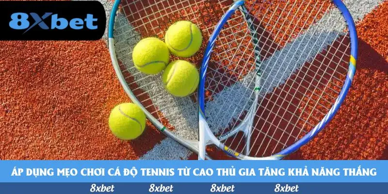8XBET - cá cược bóng đá chiến lược