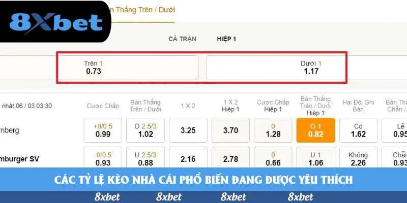 8xbet trong vòng 8 1 km tại 8XBET