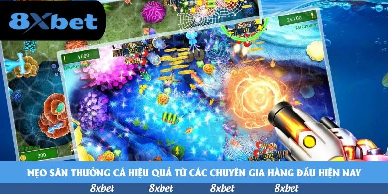 8XBET - i9bet thưởng nạp đầu