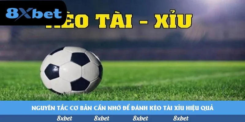 8xbet bị triệt phá tại 8XBET