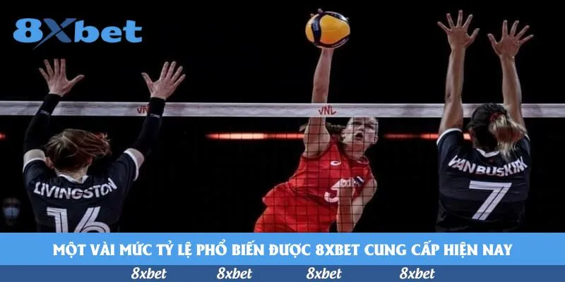 Hướng dẫn 8xbet không đủ doanh thu cược
