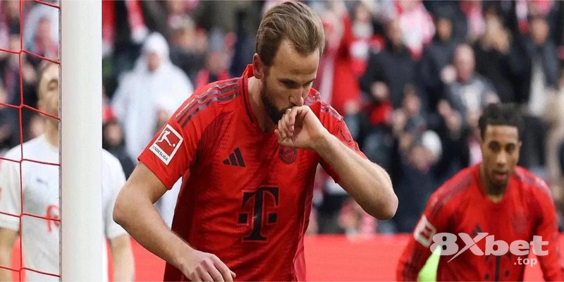 8XBET - link 188bet 8XBET - link 188bet