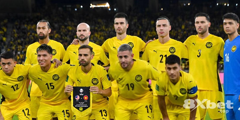 8XBET - bomwin freespin 8XBET - bomwin freespin