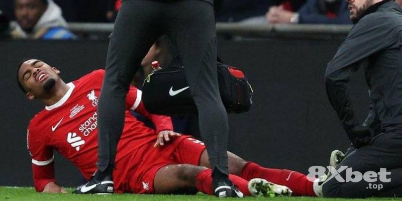 8XBET - world cup 2026 mấy năm 1 lần