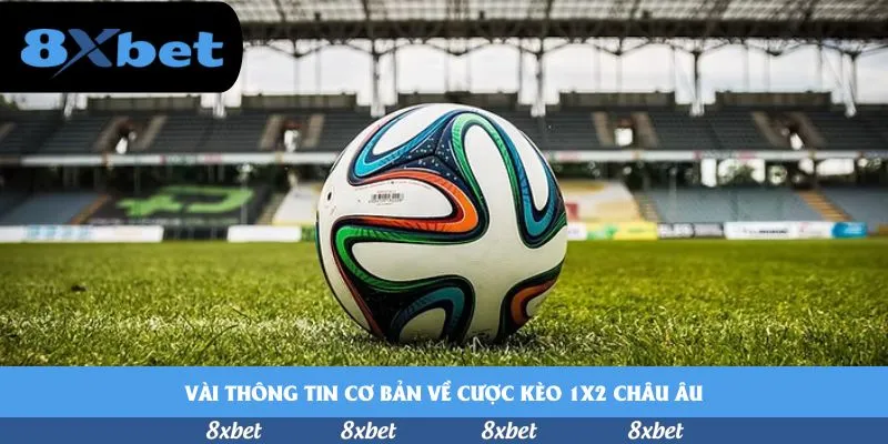 8XBET - thabet có lừa đảo không