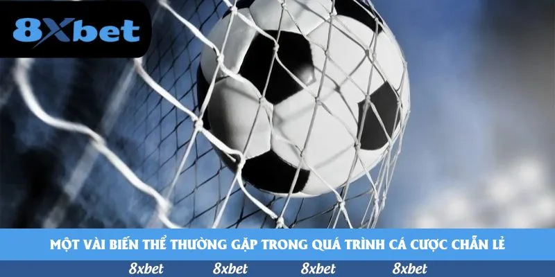 8XBET - nhà cái thưởng chào mừng world cup 2026