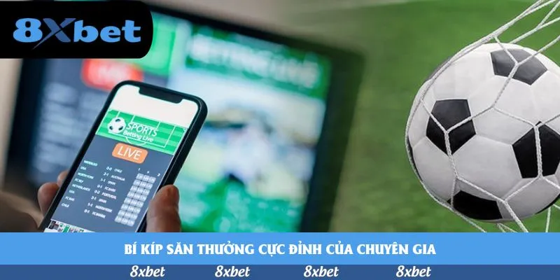 8xbet - qh88 thể thao
