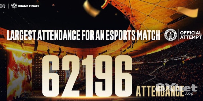 8XBET - thabet có lừa đảo không