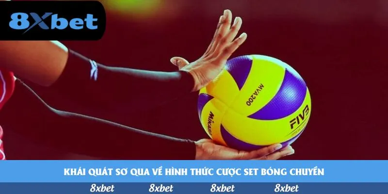 8XBET - new88 hoa hồng đại lý